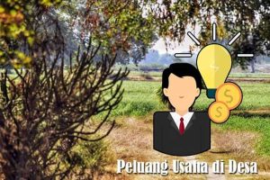 Peluang Usaha di Desa