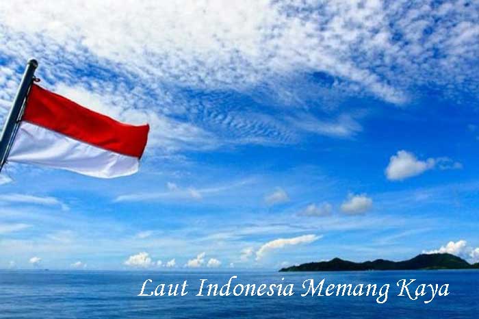 Laut Indonesia Memang Kaya