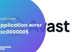 application error 0xc0000005