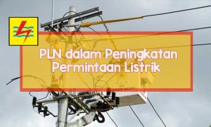 pln