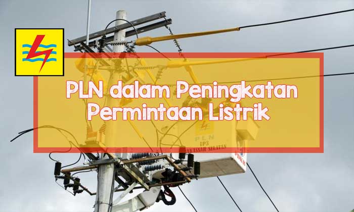 pln