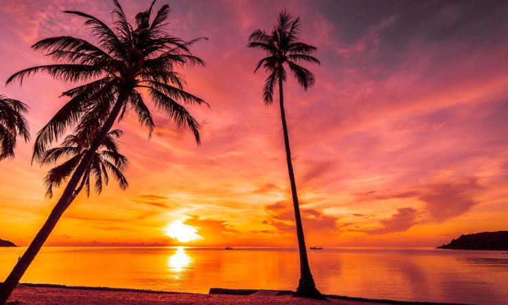 Pemandangan Sunset
