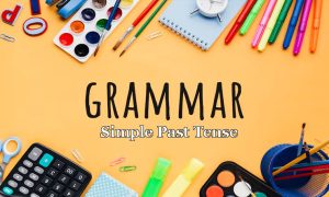 Simple Past Tense